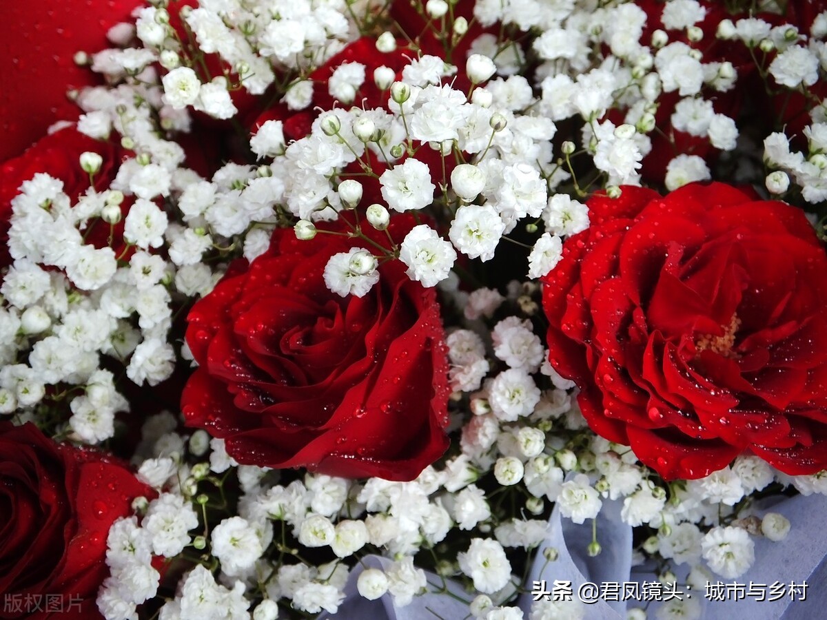 湖北宜昌：情人节，商家为顾客定制的鲜花温馨浪漫，含情脉脉