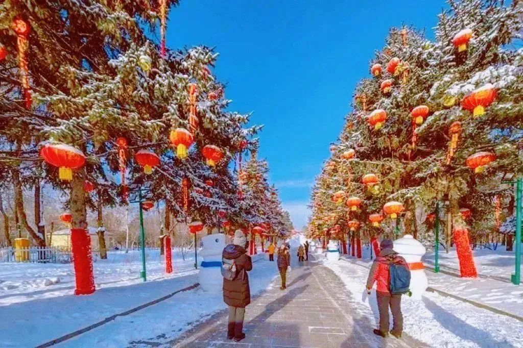 哈尔滨太阳岛雪博会,哈尔滨雪博会太阳岛冰雪大世界