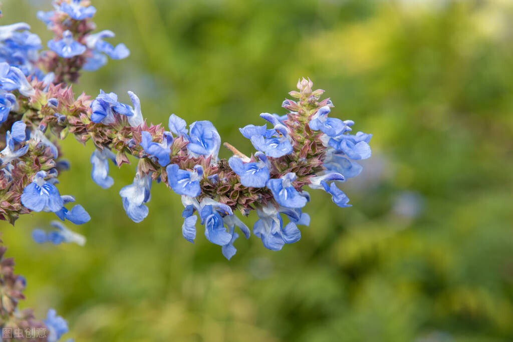 双子座和金牛座和双鱼座,2022年最好命星座金牛座和双鱼座