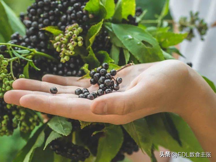 乳铁蛋白新品上市,乳铁蛋白新品升级