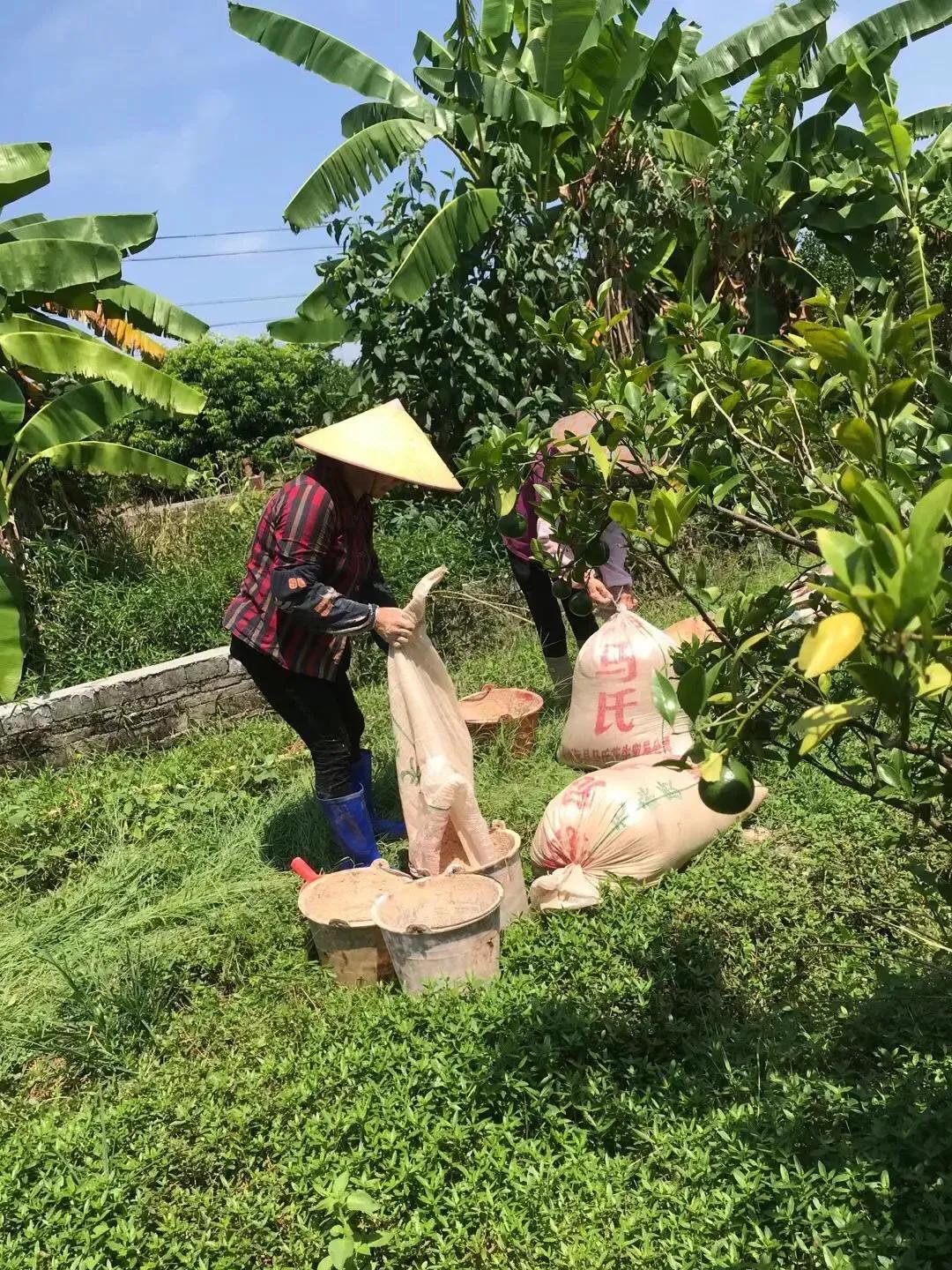 说农业是暴利的专家是哪个人,农业是暴利行业是哪个专家说的