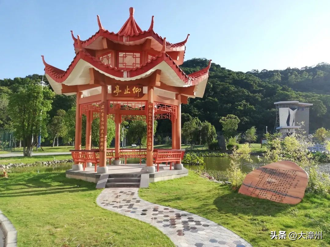 漳州自主招生报考条件,漳州自主招生报名时间