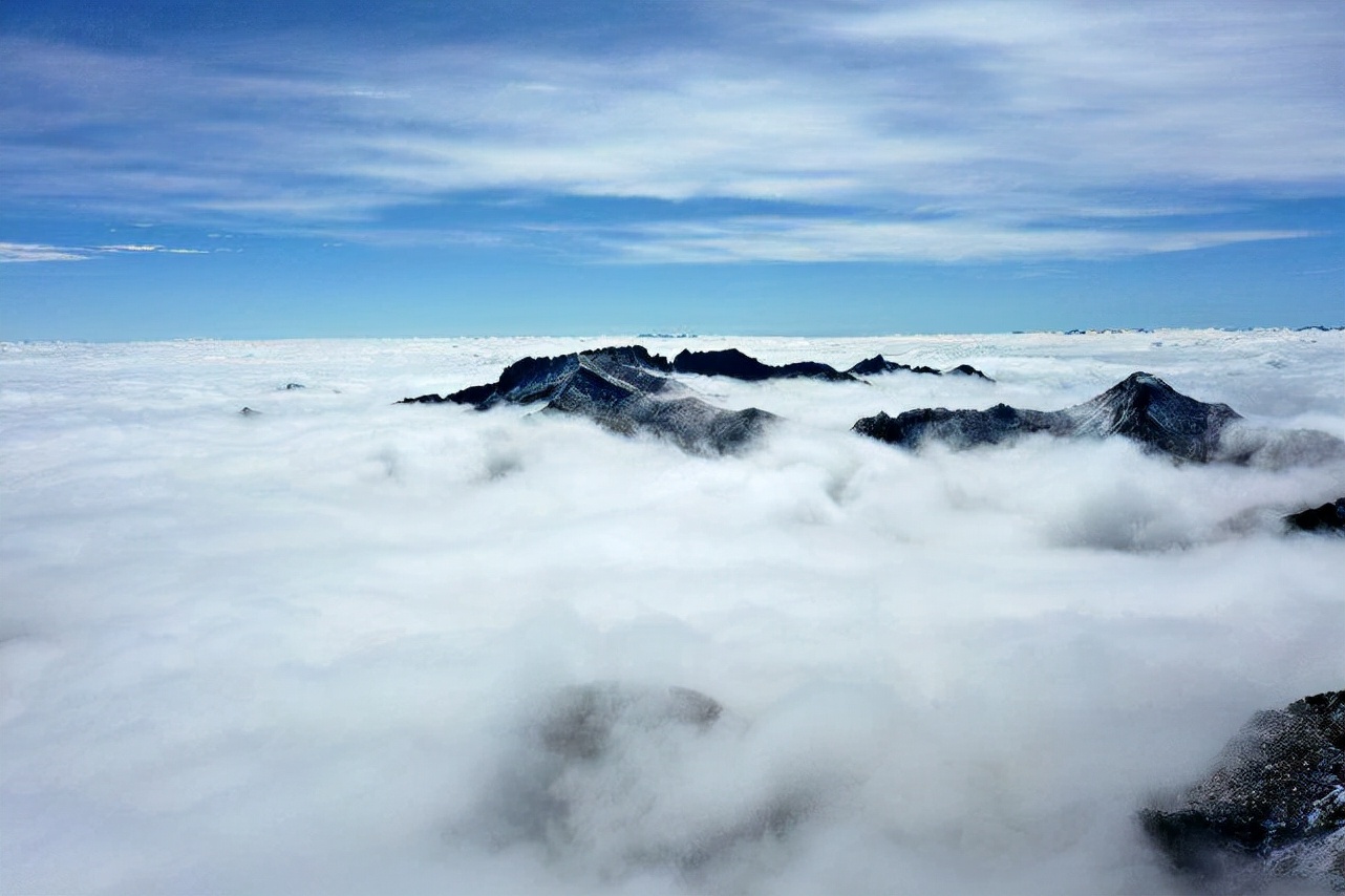 有想修仙的吗？一起一起