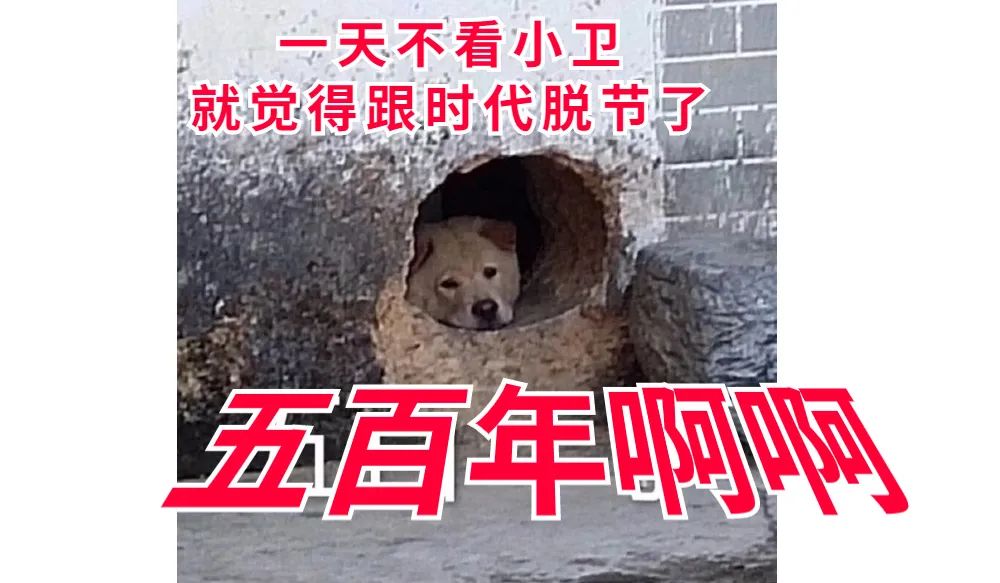 治癌利器是真的吗,治疗癌症新利器