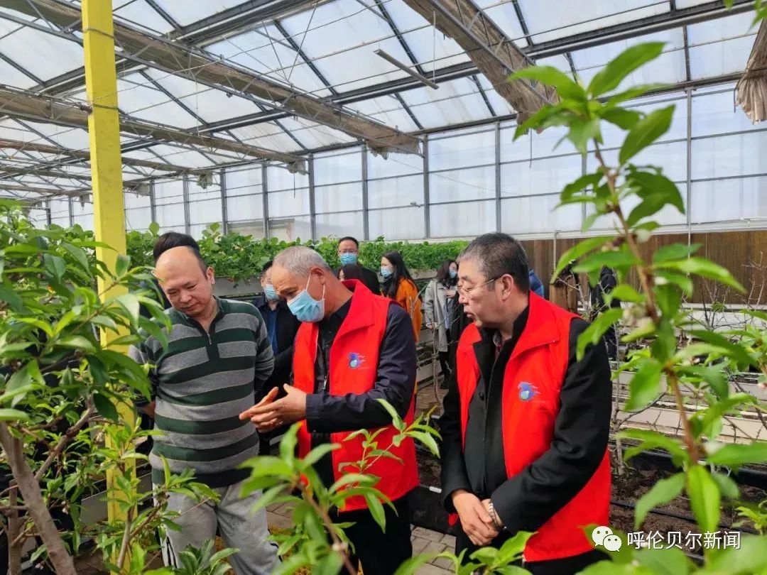 一川草色青袅袅全诗,一川草色青袅袅全诗译文