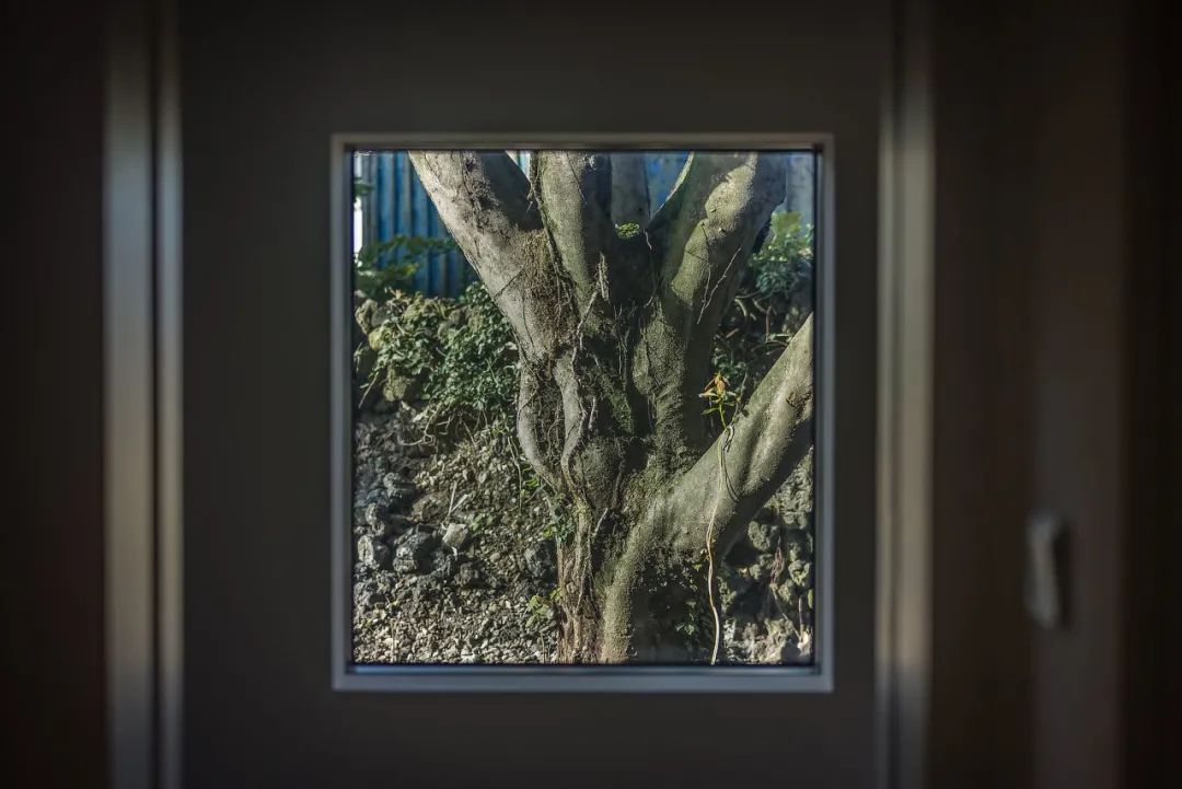 古朴民宿,舒适的归园