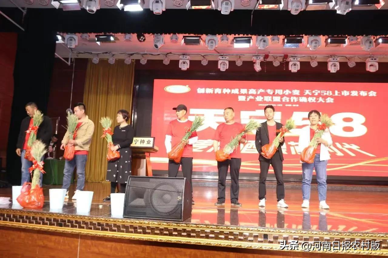 “麦”向酒粮“芯”时代！高产专用小麦天宁58观摩会暨上市发布会顺利举行