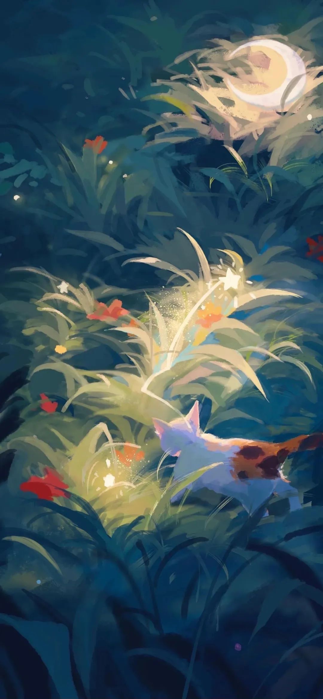 壁纸女性是美好的,今日壁纸与你有关