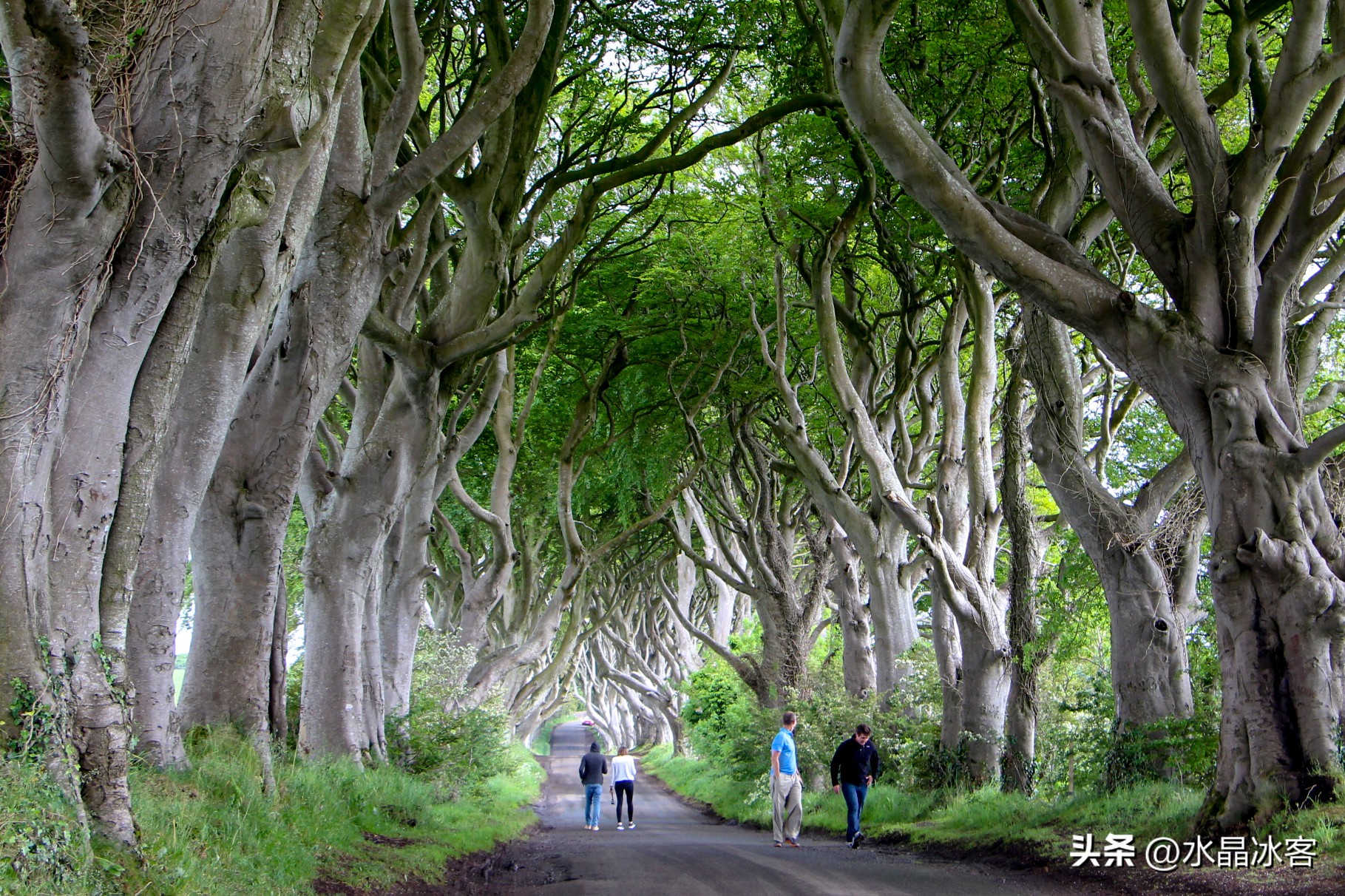 英国行（二）--苏格兰北爱尔兰和爱尔兰