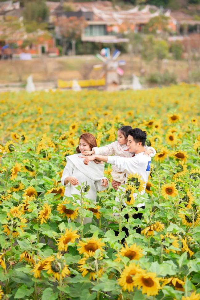 鼓浪屿可以当天预订船票攻略 (鼓浪屿还有免费的船票吗)