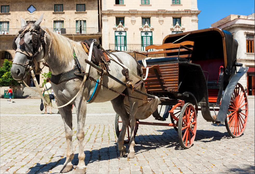 法国冷知识,法国冷知识1000条