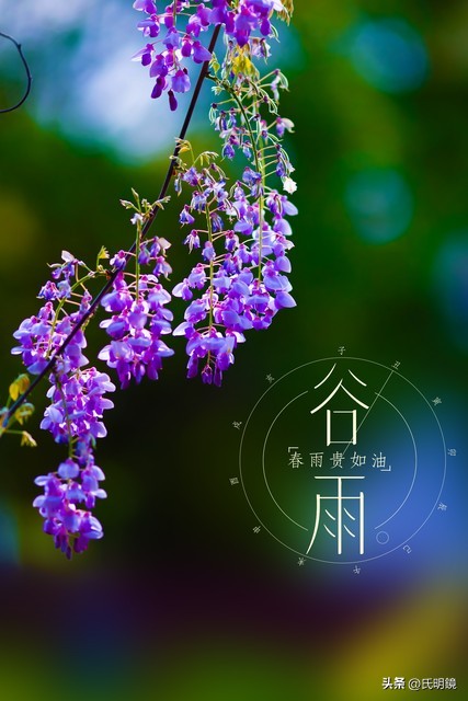 24节气谚语大全处暑,民间实用节气谚语608句