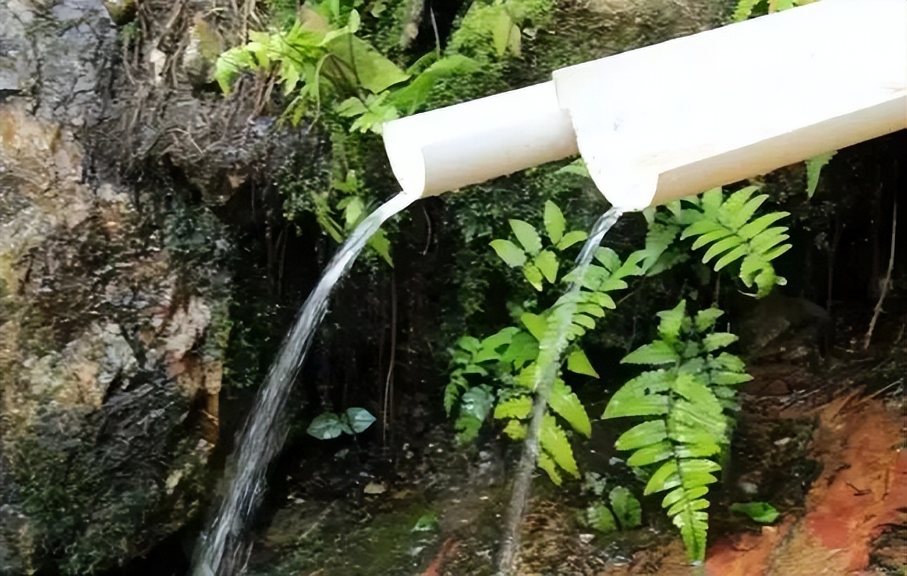 掌握这三个要素轻松泡出好茶,怎样泡茶才不会毁了一口好茶