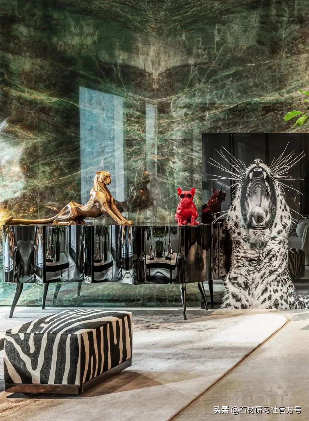 奢石详解,奢石知识科普