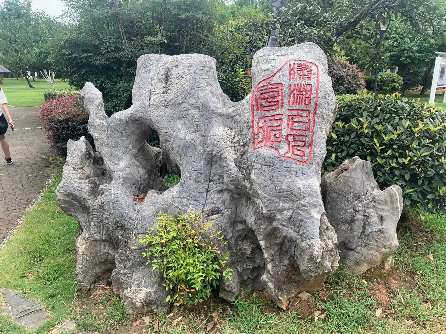 我眼中的湖南画,我眼中的湖南作文