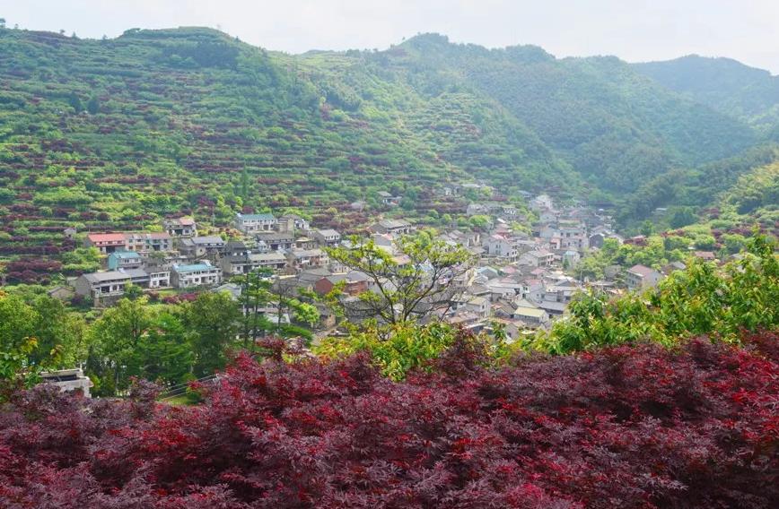 浙江余姚亲子游推荐,慈溪余姚亲子游一日游攻略