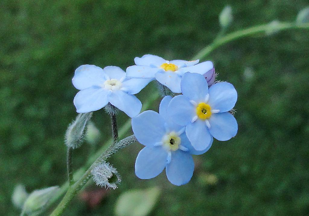 一个家庭慢慢走向衰败的前兆,家庭的衰败取决于5个根本