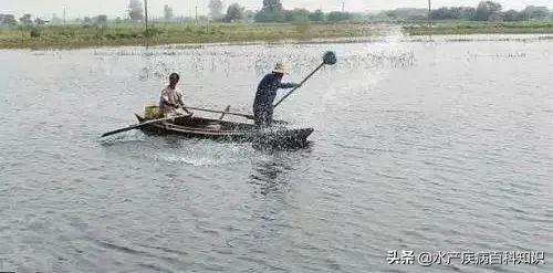 鱼塘淤泥要怎么处理,鱼塘底淤泥怎么处理