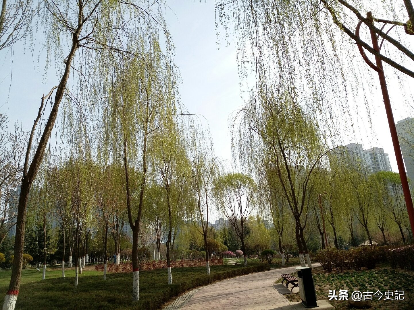 带你了解神秘的青海,青海省冷知识