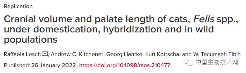 科学家发现，猫脑子越来越小了，是“铲屎官”们造成的？