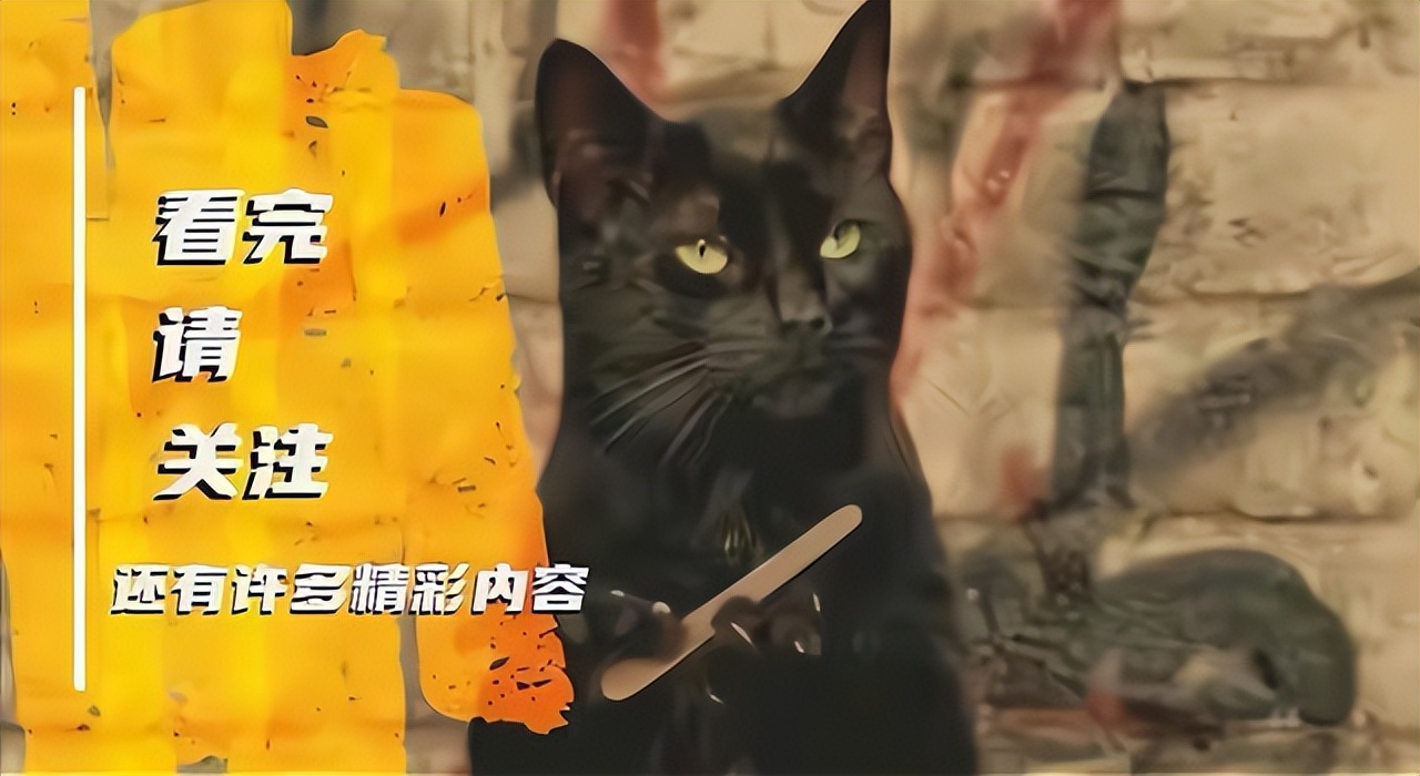 羽量级vs嘴炮,羽量级最强抗击打