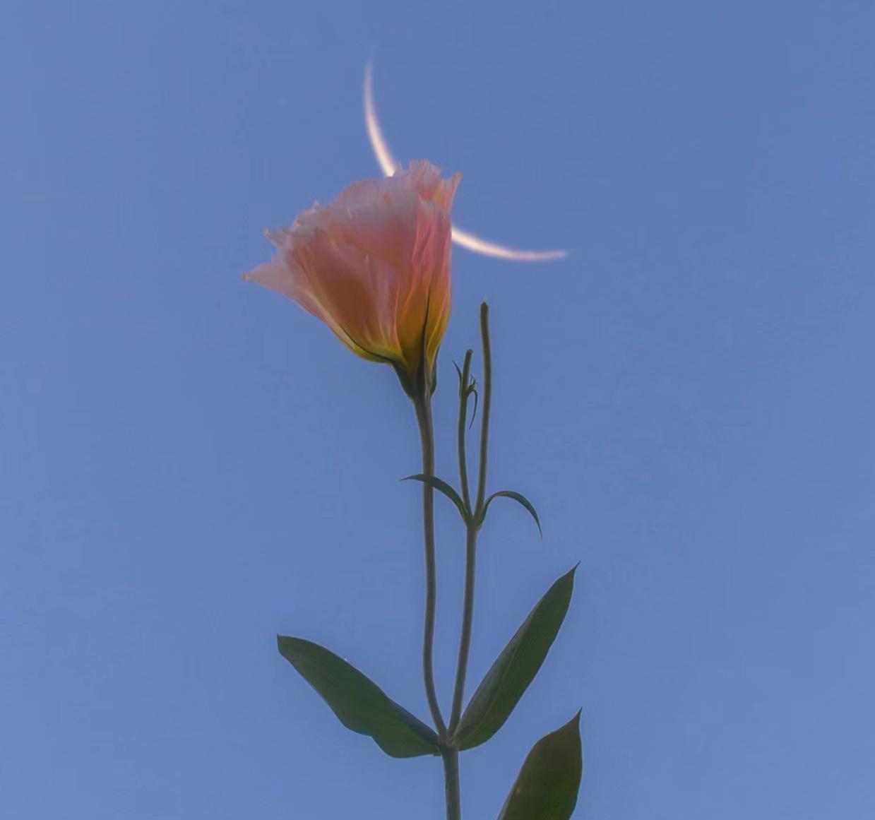 断联后男人多久会忍不住联系你,断联后男人开始思念你