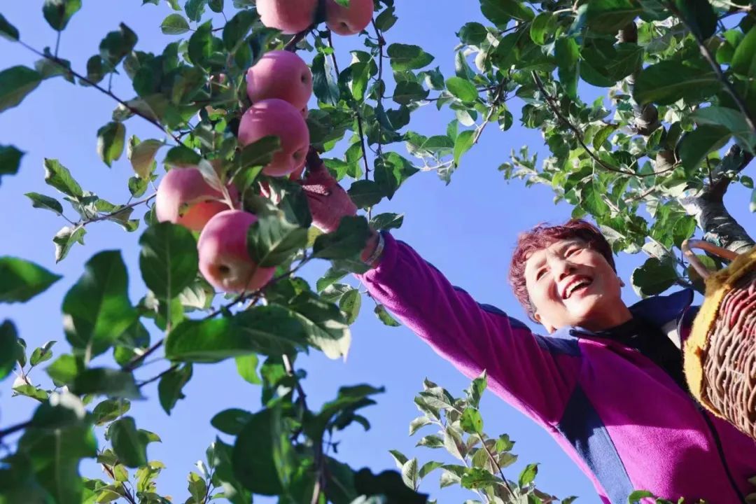 走进泾川吴焕先烈士纪念馆,平凉吴焕先