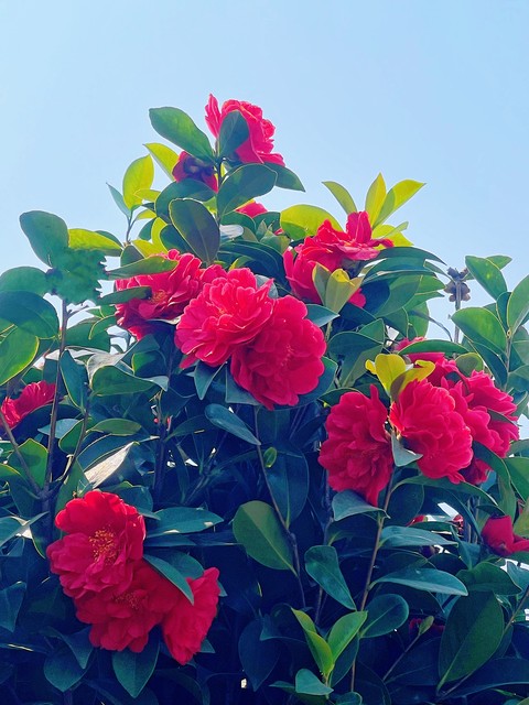 错过的人遇过的事都有他的意义,错过的人也是命中注定的吗