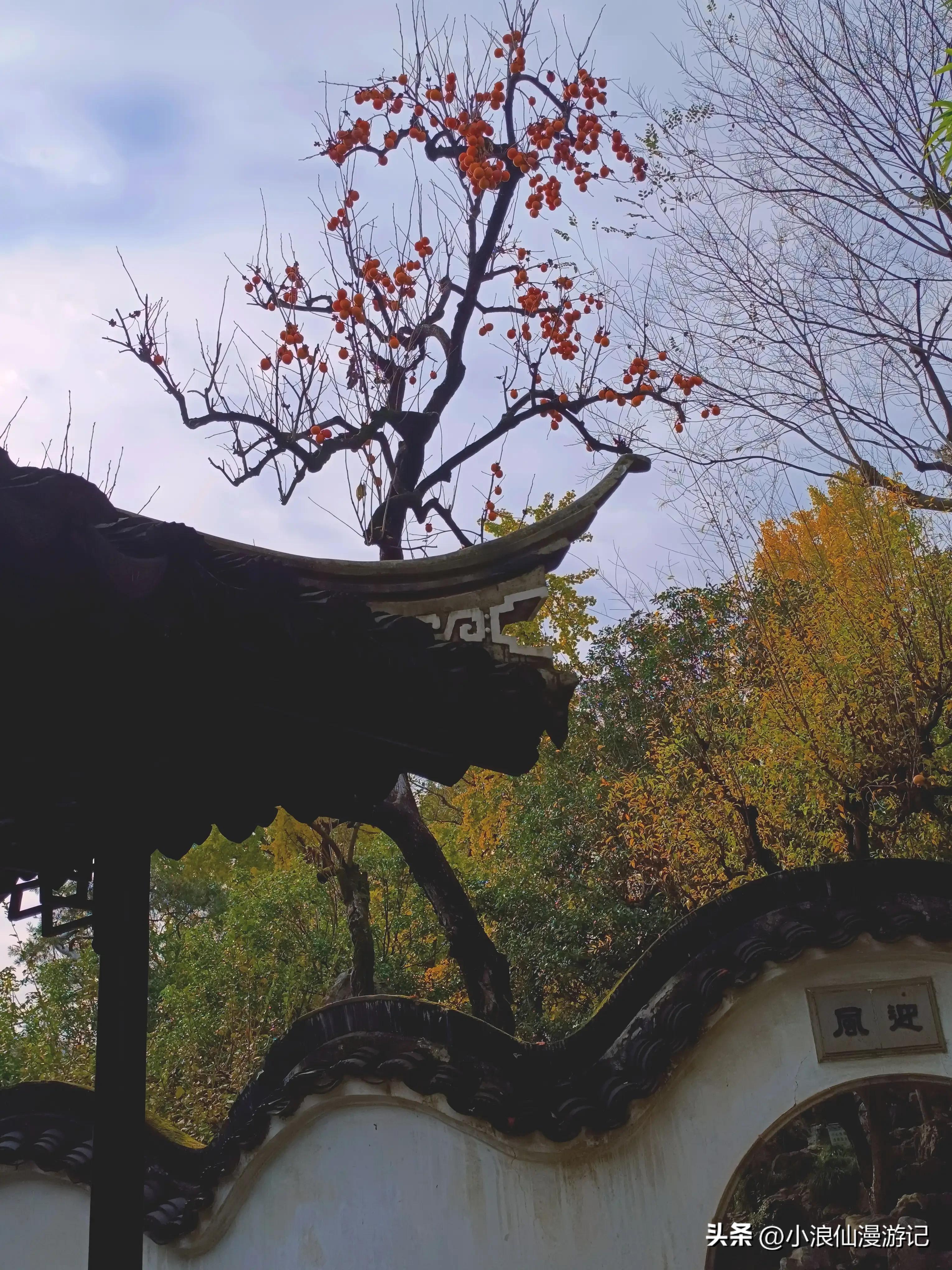 苏州园林怡园拍摄地点,苏州园林里的怡园是什么