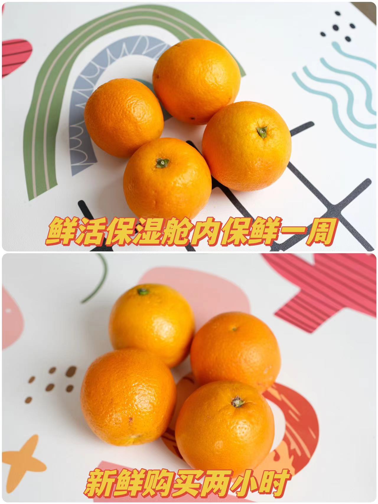 tcl超薄零嵌冰箱实测,超薄零嵌入冰箱推荐tcl