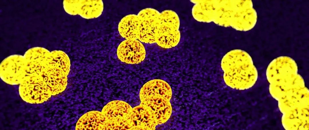 抗氧化防晒内服,抗氧的防晒成分有哪些