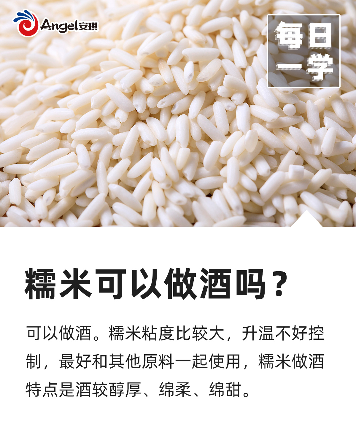 甜酒酿二次发酵成米酒注意事项,酿米酒的技术分享一下