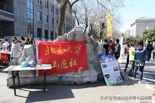 北京大学顶尖高校,北京大学最强的一个学院