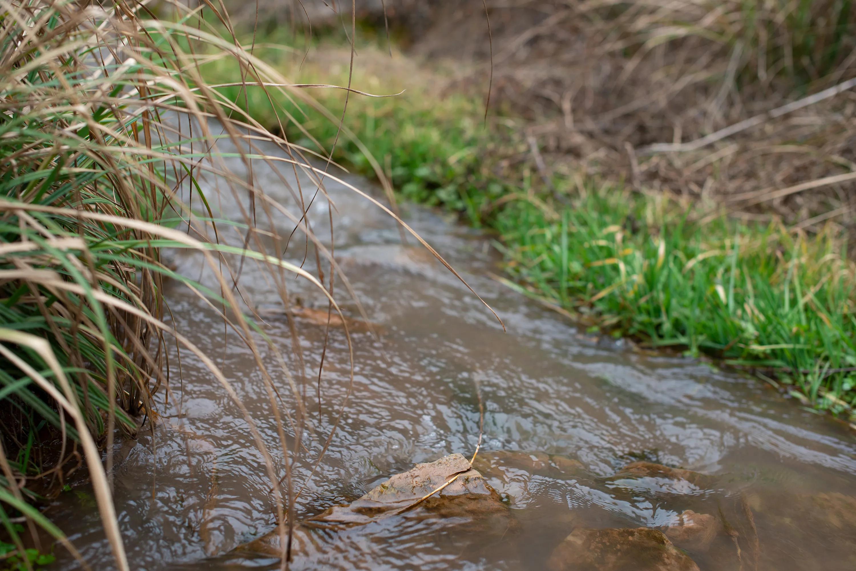 尼康调出油润感,尼康油润点的镜头