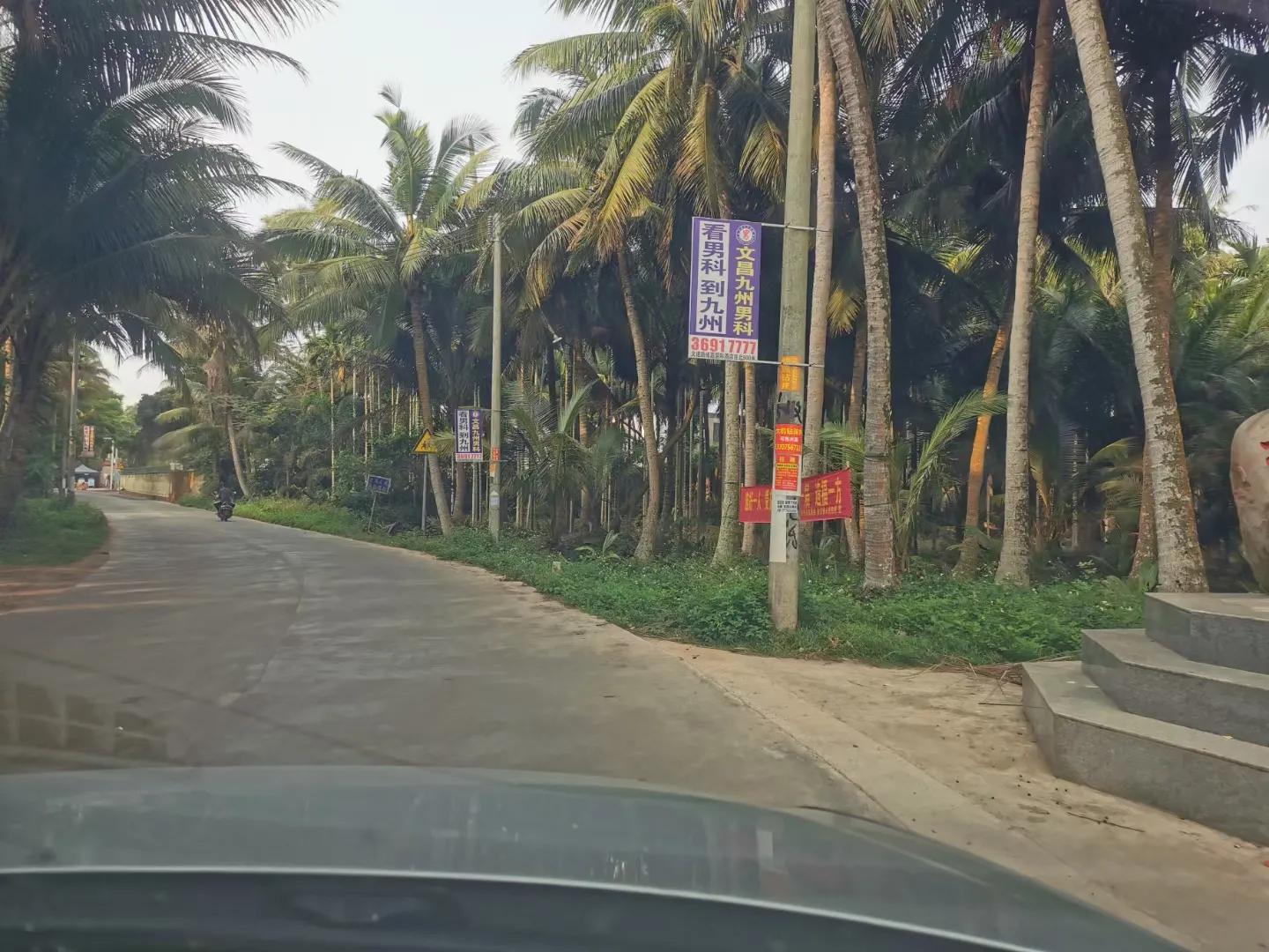 文昌椰林在哪里,文昌椰林靠海吗