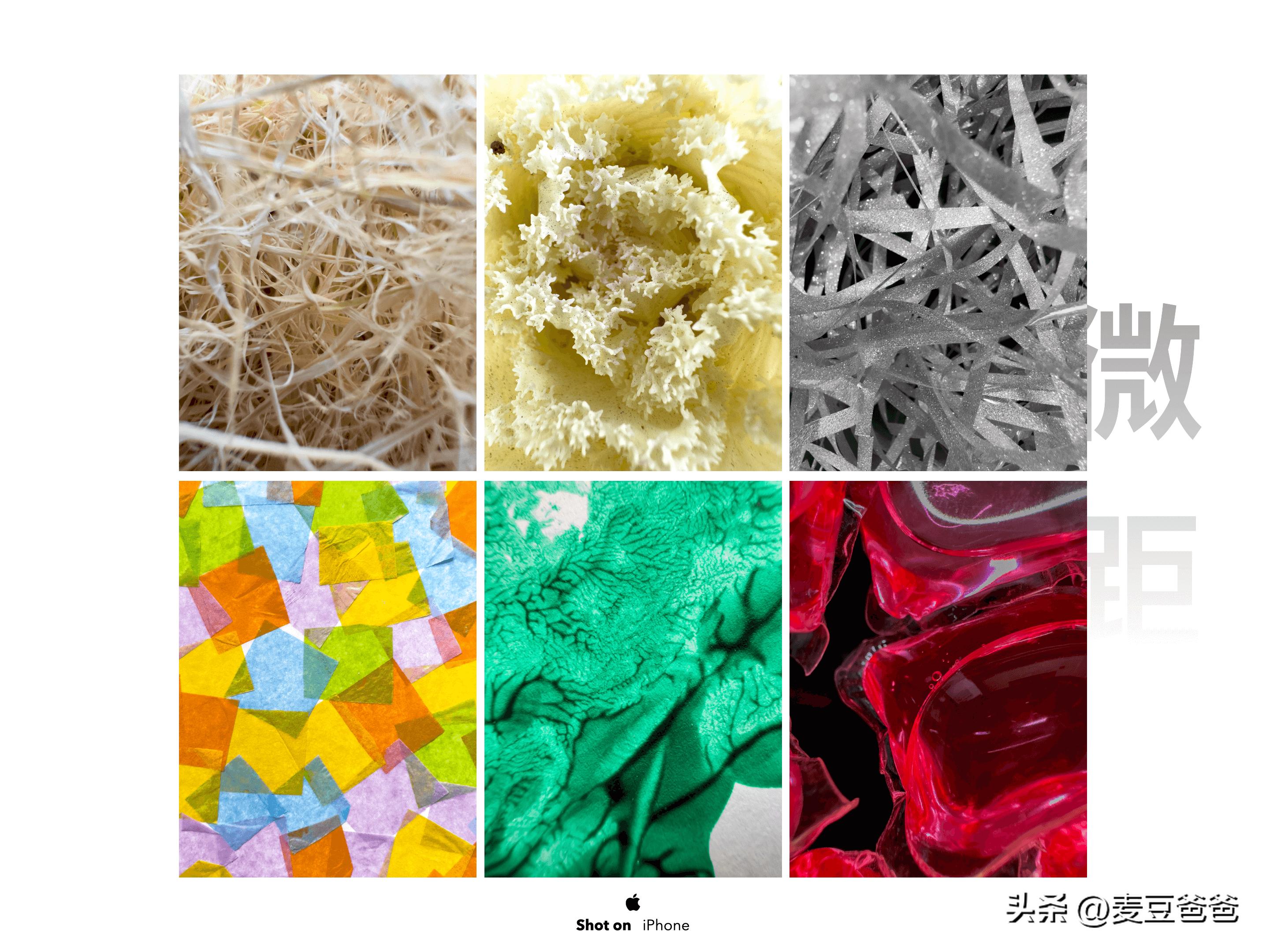 iphone14如何拍好看的照片,如何用iphone14拍出好看的照片