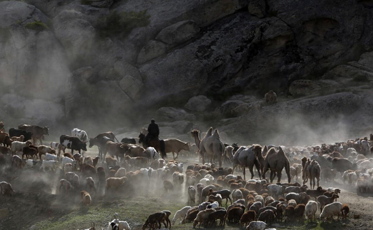 阿尔泰山有哪些国家,阿尔泰山边境分布图