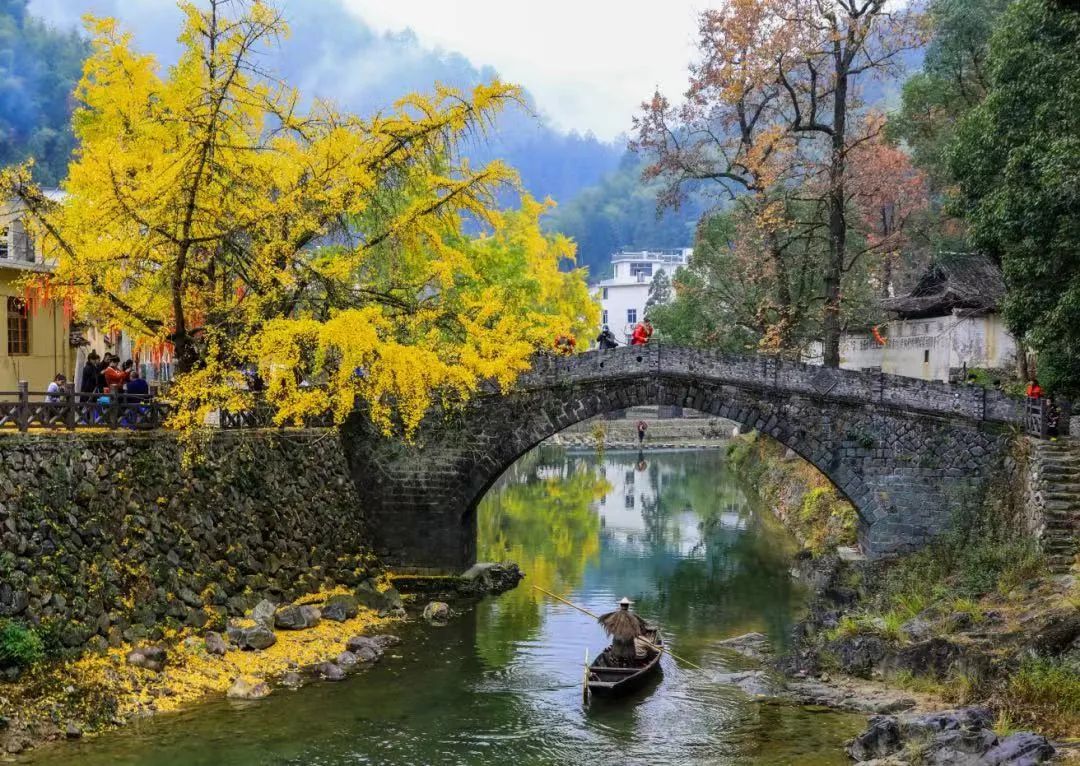 浙江新一批事业单位,浙江2024年优秀企业名单