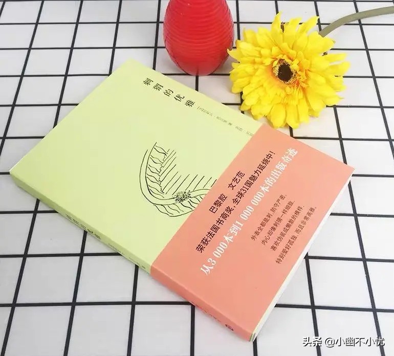 刺猬的优雅书评,刺猬的优雅观后感800字