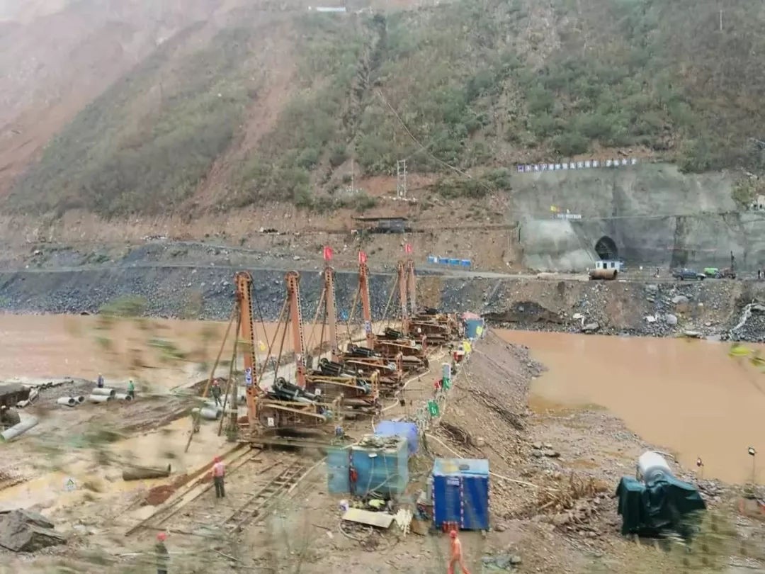 保护百鸟之王绿孔雀,中国的百鸟之王绿孔雀