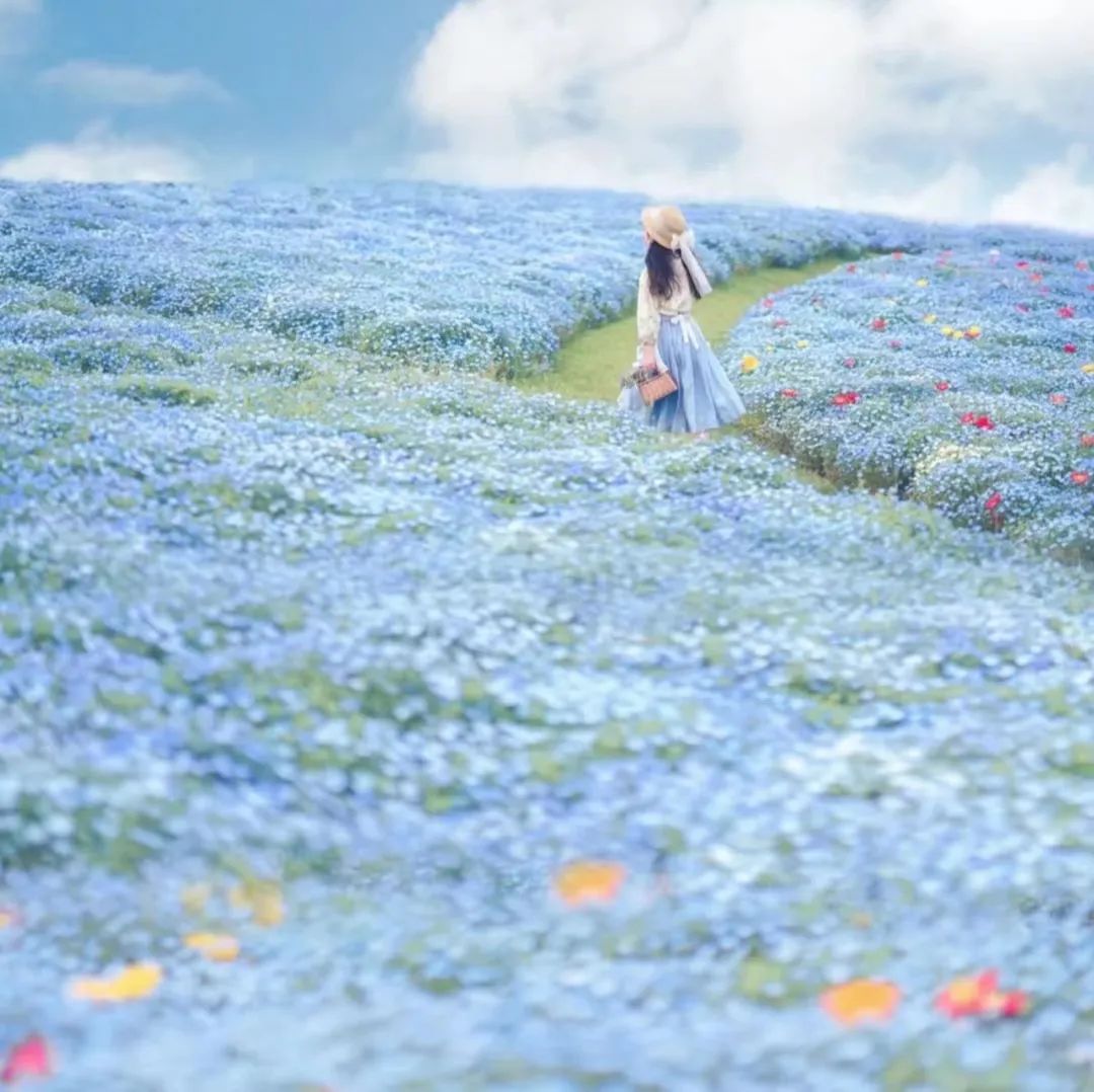 治愈系背景图高清版风景,风景素材治愈系哪里找