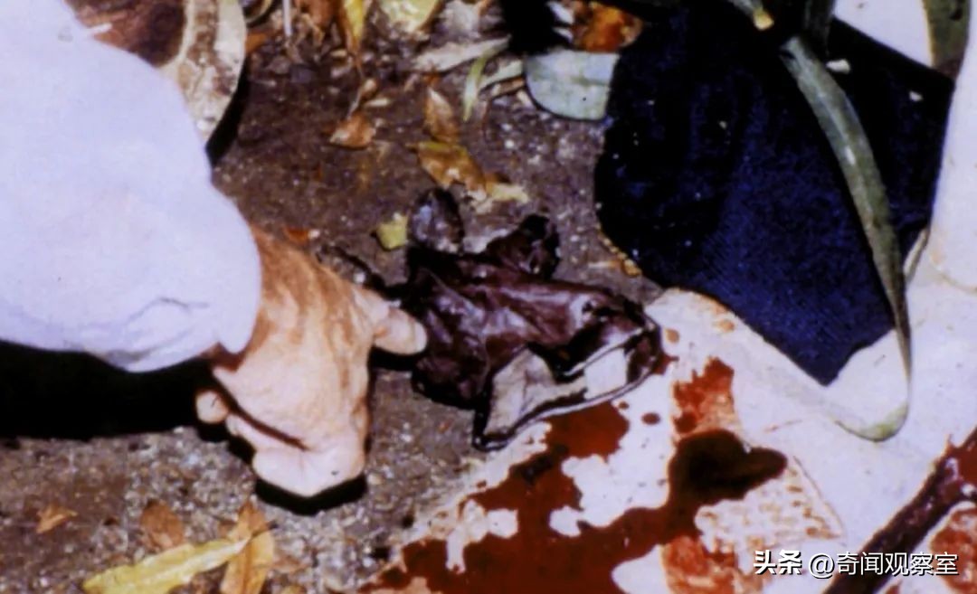 辛普森案真相解析,辛普森案真相解密