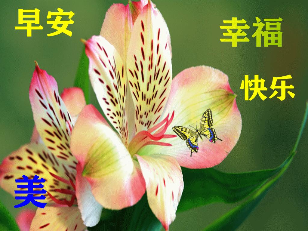 周五问候祝福动态表情图片大全，做一个善良的人，做快乐的自己