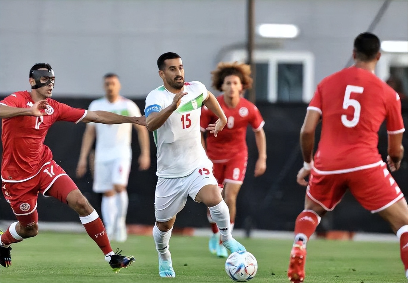 丹麦vs突尼斯谁强,丹麦vs突尼斯怎么打的