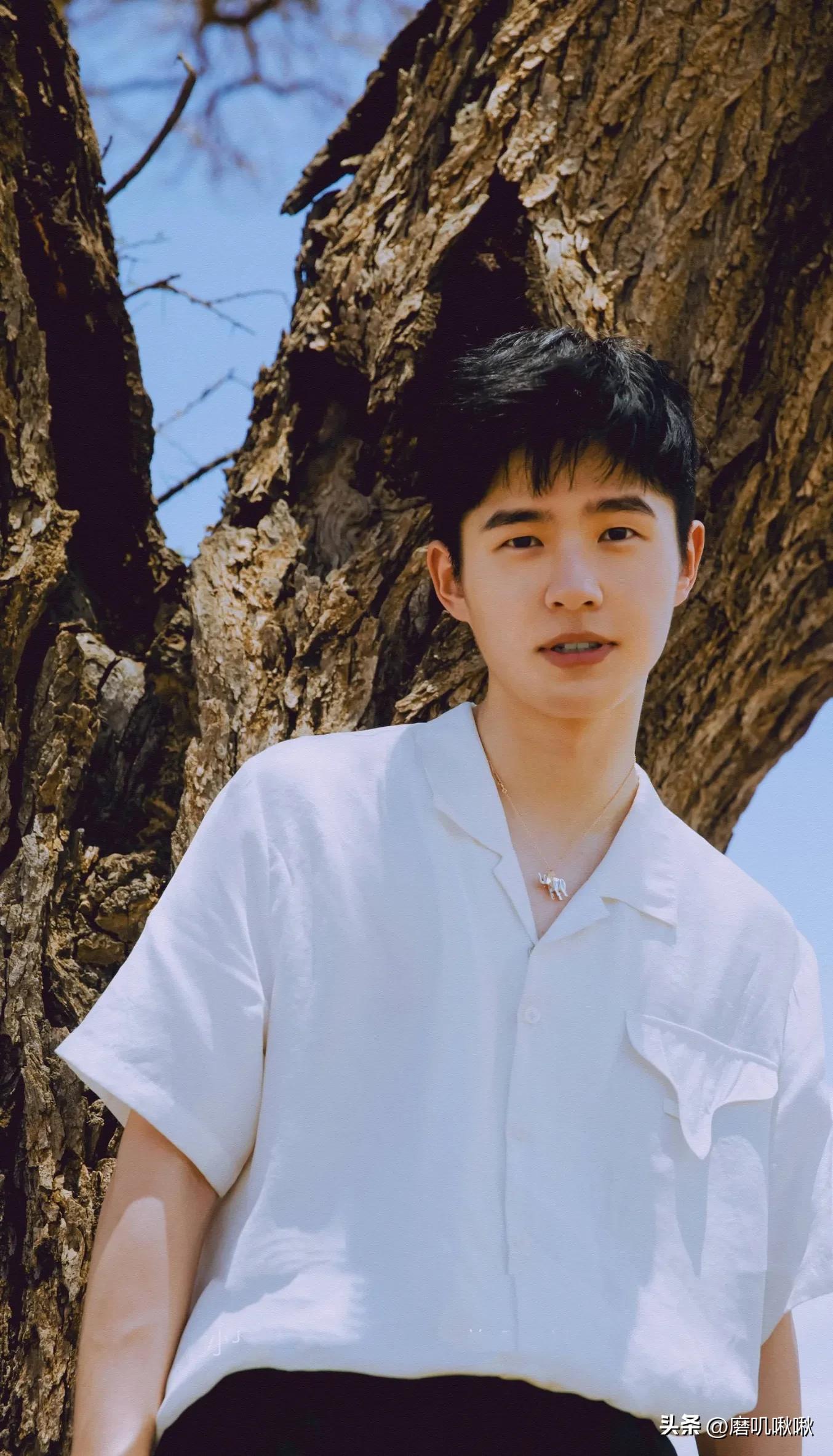 娱乐圈你觉得哪位明星演技最好,娱乐圈公认的演技派