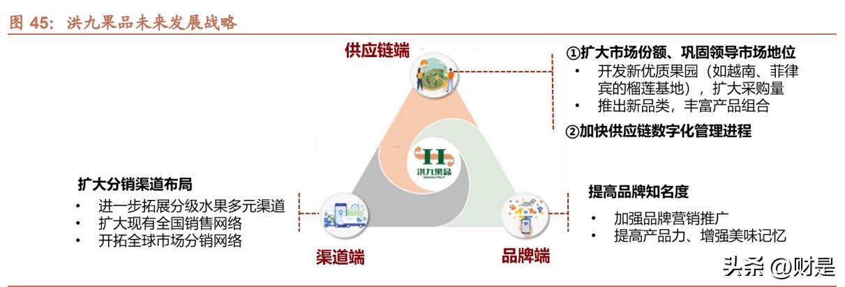 洪九果品分销平台,洪九果品分销商