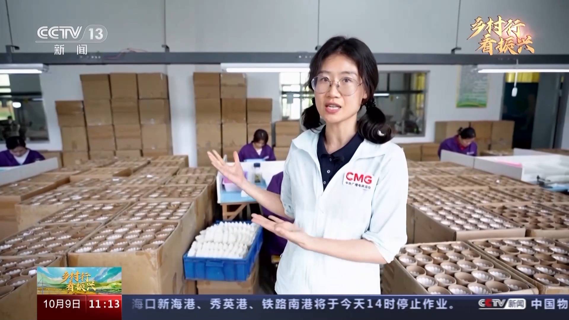 鹅走天下！这只大白鹅带你赚翻了！