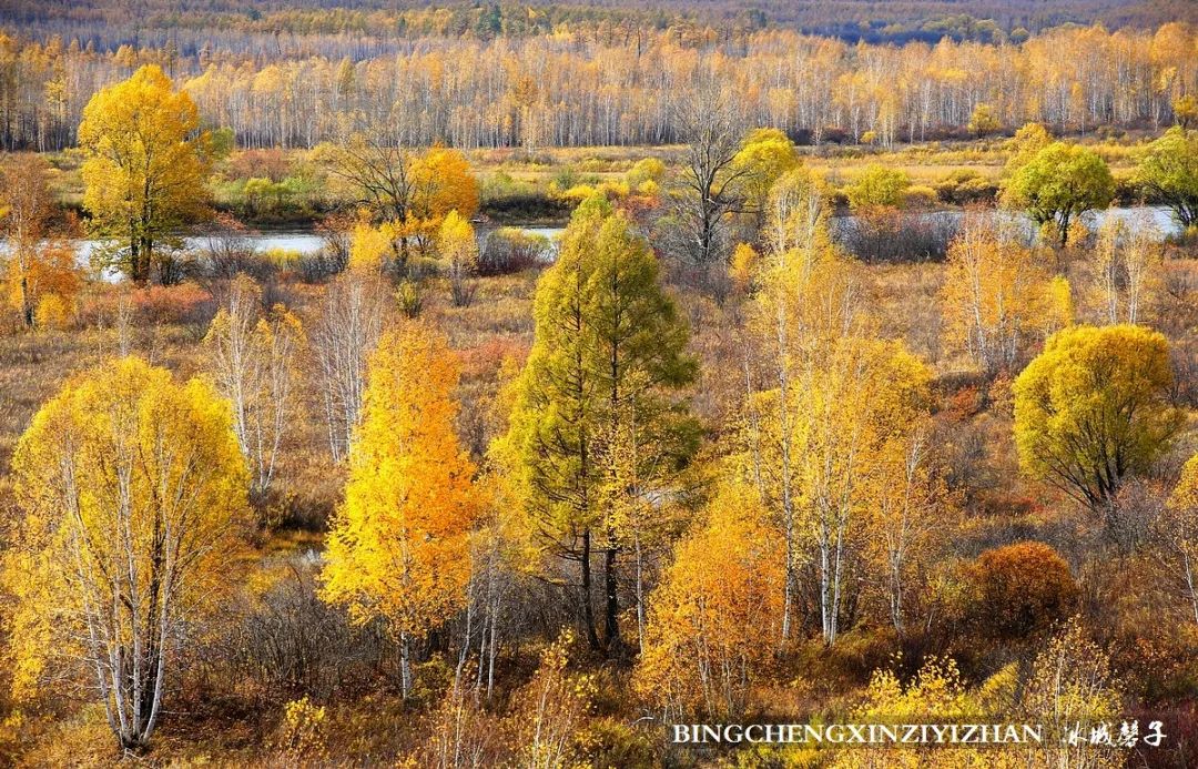 秋天大兴安岭最美的地方,秋天美丽的大兴安岭