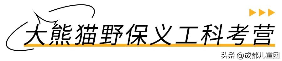 科考队营地,可以和同学一起去的科考夏令营