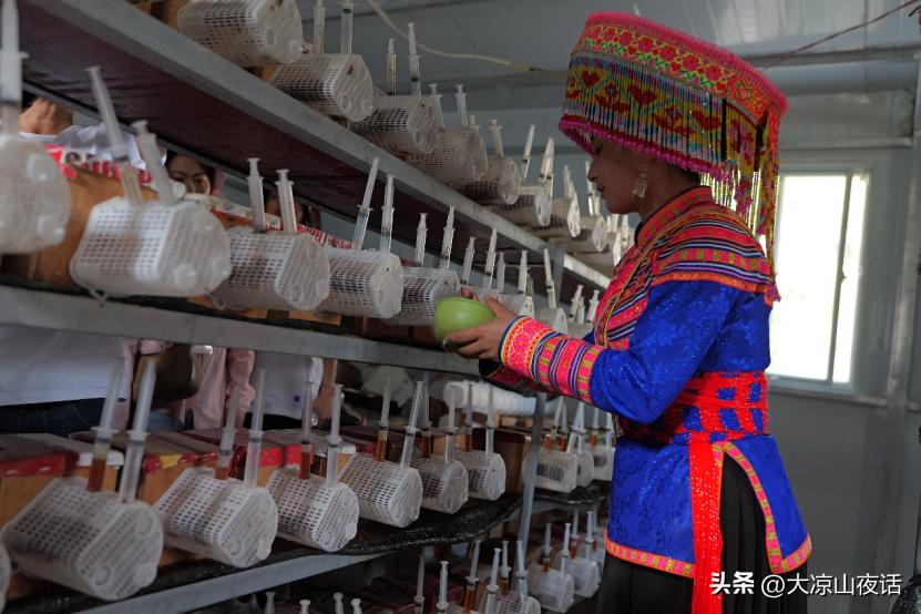 遇见美丽大凉山,遇见美丽大凉山完整